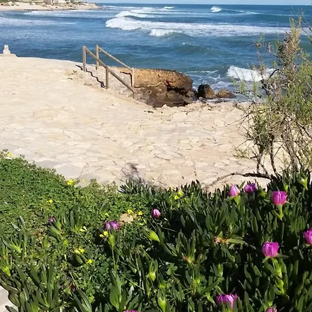 Апартаменты Cor'al *